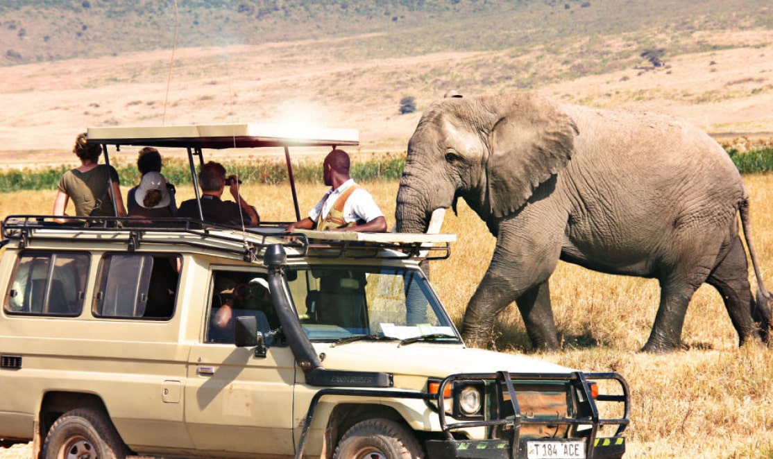 Tanzania Wildlife Camping Safari